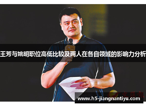 王芳与姚明职位高低比较及两人在各自领域的影响力分析
